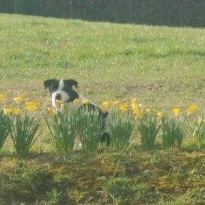 Meet your Posher, Dawn